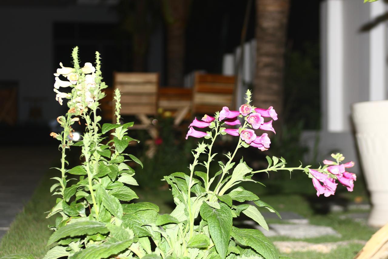 Ocean View Hotel Nha Trang Luaran gambar